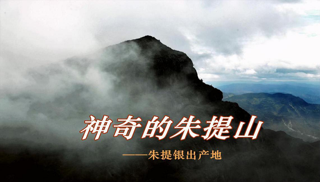 圖片11.png